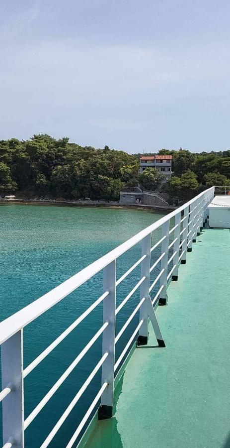 Apartmani 'Mirijana Gabric' A3 Lopar Εξωτερικό φωτογραφία