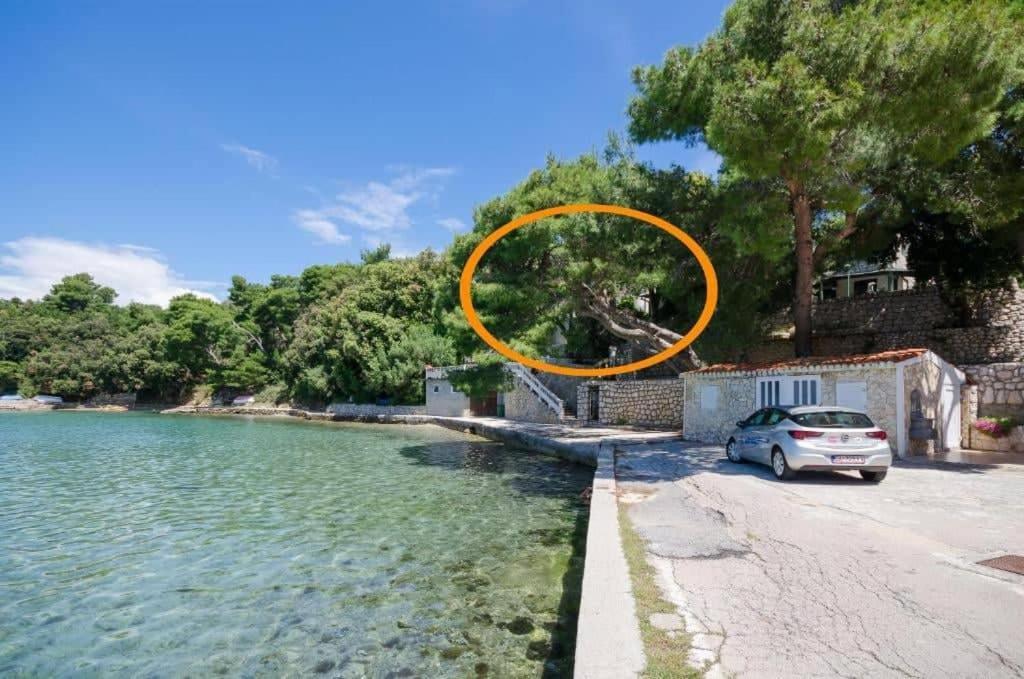 Apartmani 'Mirijana Gabric' A3 Lopar Εξωτερικό φωτογραφία